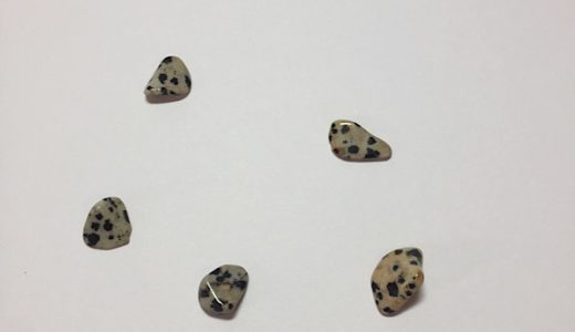 ダルメシアン、販売してます