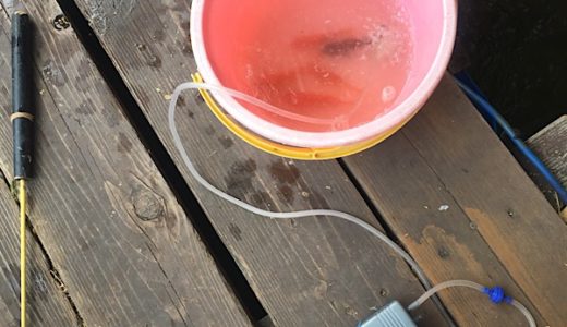 赤坂見附釣り🎣ぼり