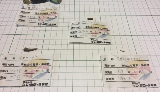 今日は化石の発掘体験に行ってきました。