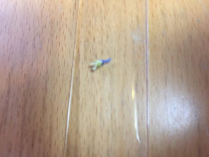問題2のこたえ　あじさい