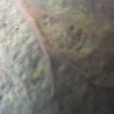 これなんだ1