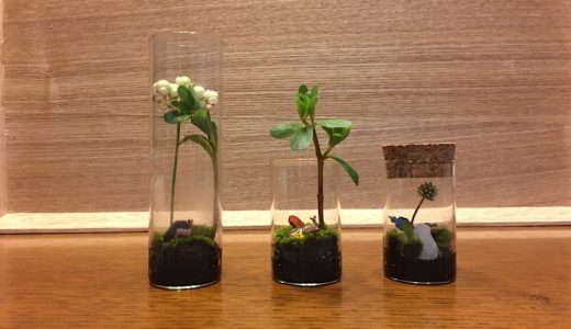 2019年　7月27日　宝石テラリウムを作りました。