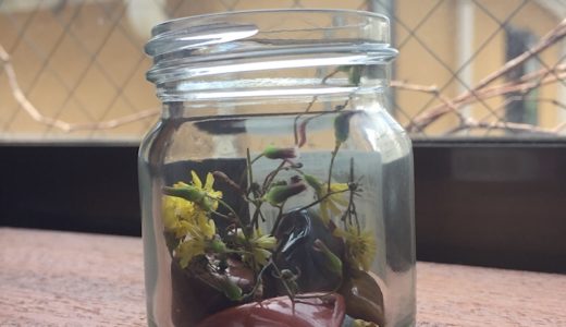 今日はアビスリウムの世界を作りました。