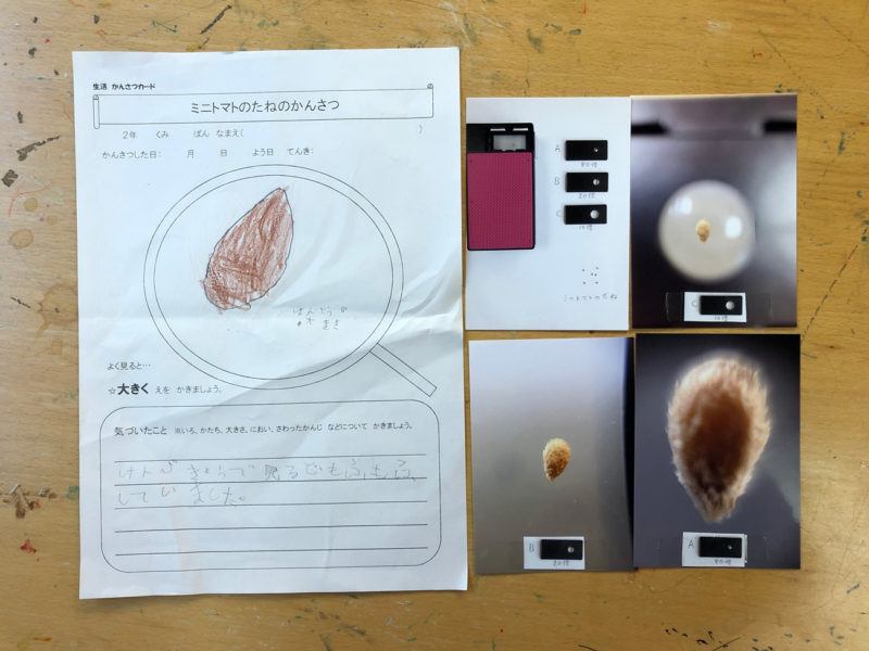 写真1