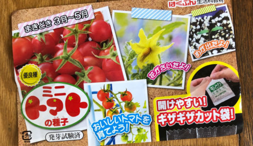 生活科 ミニトマトを育てる